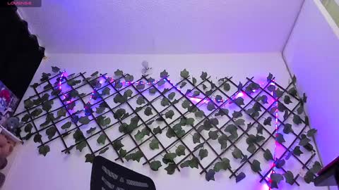 Snapshot of pucaa_ chatting on 01.24.25 Emma Rico   model indep online show from 01.24.25