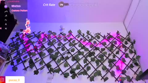 Snapshot of pucaa_ chatting on 01.31.25 Emma Rico   model indep online show from 01.31.25