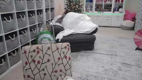 Puggie -  online show from 12.14.24