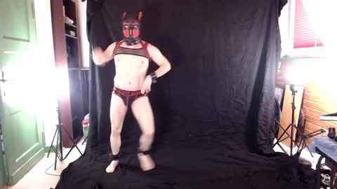 Pup Jake wants to play online show from 03.08.25
