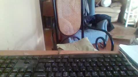 pup_y online show from 11.18.25