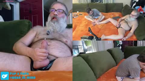 Pup And Papa bear online show from 05.23.26