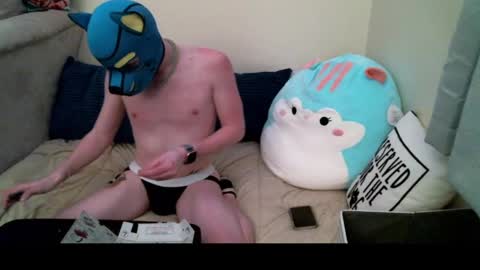 Pup Orion online show from 12.19.24