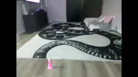 Snapshot of puppynubiss chatting on 11.06.25 Puppynubiss online show from 11.06.25