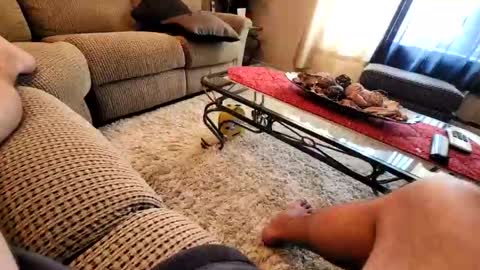 purdyguy7777 online show from 03.19.26