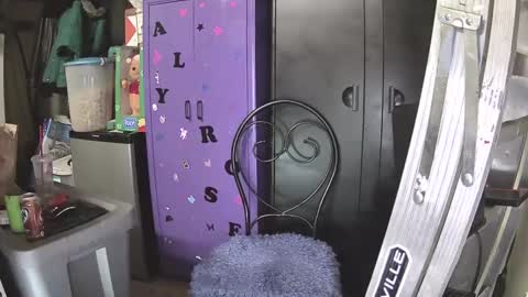 Mark online show from 12.07.24