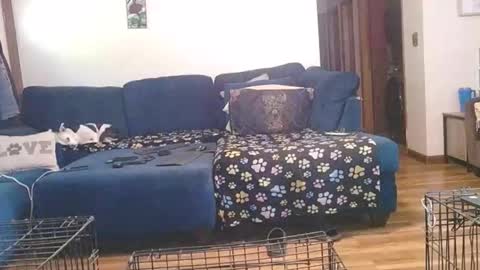 Mark online show from 10.01.25