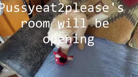 Rick online show from 02.26.25