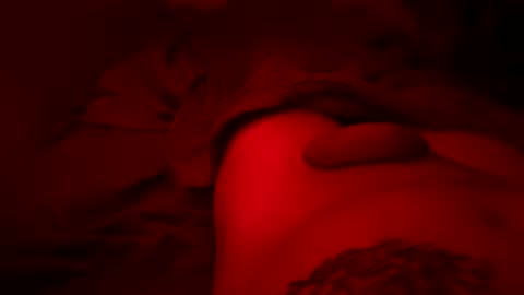 Pussylicker online show from 03.30.26