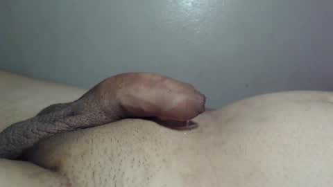 qqqwer21 online show from 01.15.26