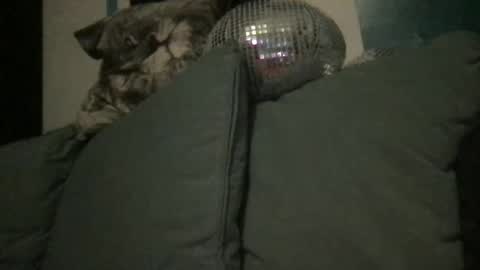 Snapshot of queendelaranch chatting on 09.20.25 Queen De La Ranch online show from 09.20.25