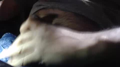 Snapshot of quickienerd chatting on 12.16.24 oilypanda online show from 12.16.24