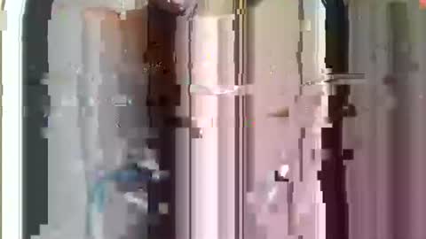 r04233054 online show from 11.29.25