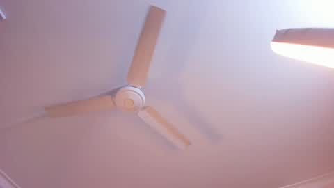 Snapshot of rachel_mendoza chatting on 01.03.25 Rachel online show from 01.03.25