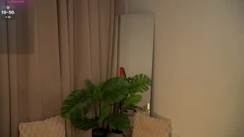 rainevi online show from 11.29.25