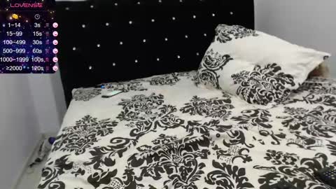 Snapshot of raul27big chatting on 02.17.25 RaulWildBoy27 online show from 02.17.25