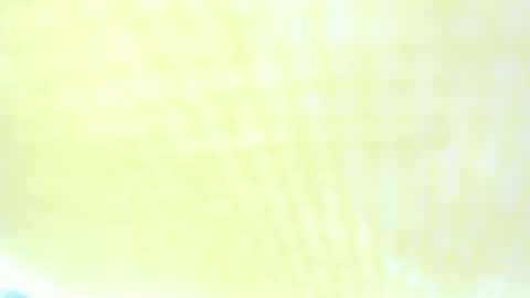 Ravenfox  online show from 03.29.26