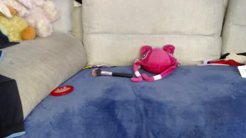 Ray  online show from 01.08.26