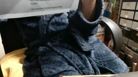 Ray online show from 11.23.25