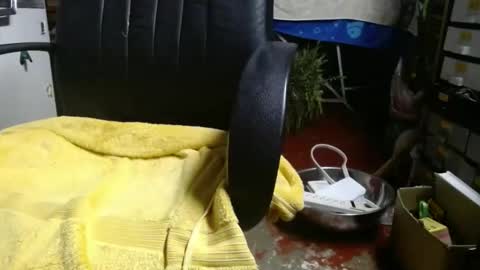 Ray online show from 11.27.25