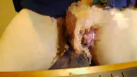 Snapshot of rb69er905364 chatting on 11.17.25 rb69er905364 online show from 11.17.25