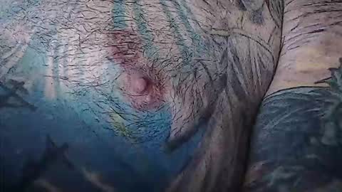 Snapshot of realrubpirate chatting on 02.03.26 realrubpirate online show from 02.03.26