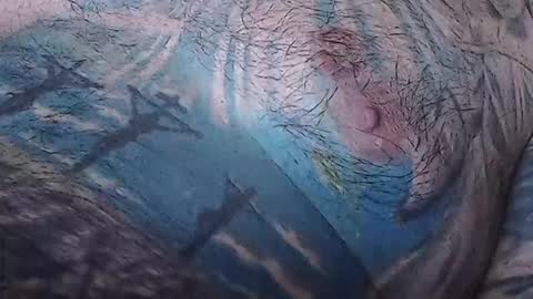 Snapshot of realrubpirate chatting on 02.15.26 realrubpirate online show from 02.15.26