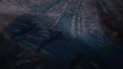 realrubpirate online show from 03.22.26