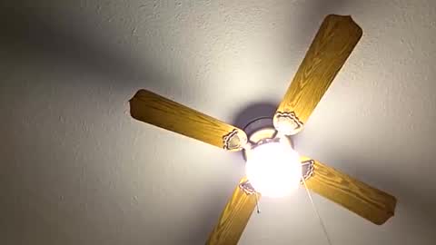 red24devils online show from 10.26.25