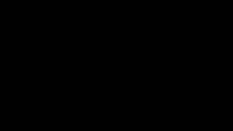 Neta online show from 10.22.25