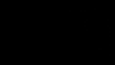 Neta online show from 10.25.25