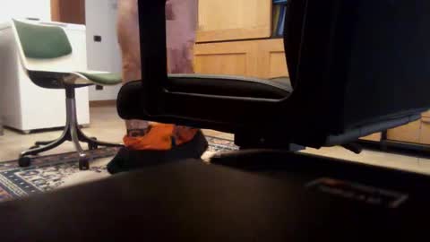 redbull3254 online show from 12.02.25