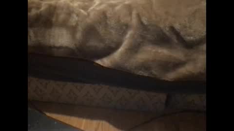 Snapshot of redfoxofficial chatting on 01.05.26 Redfox online show from 01.05.26