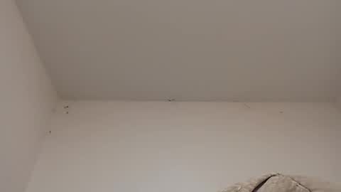 Snapshot of rednicedick chatting on 01.22.25 rednicedick online show from 01.22.25