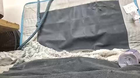 Snapshot of rednicedick chatting on 10.16.25 rednicedick online show from 10.16.25