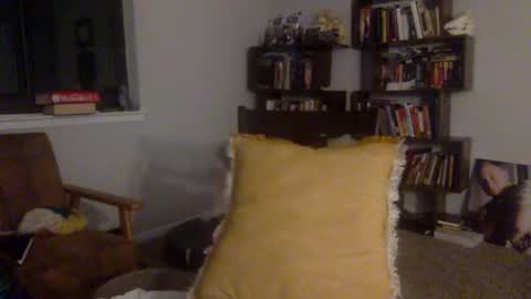 Snapshot of redsands64 chatting on 11.23.25 redsands64 online show from 11.23.25