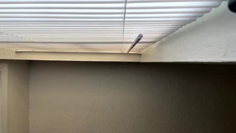 Snapshot of redsoilclay chatting on 09.27.25 redsoilclay online show from 09.27.25