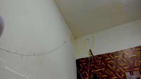 reed_kitty online show from 12.15.25