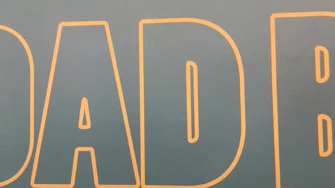 Reese Rideout online show from 12.08.24