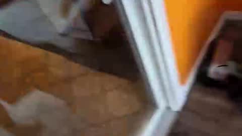 reggie007007 online show from 01.07.26