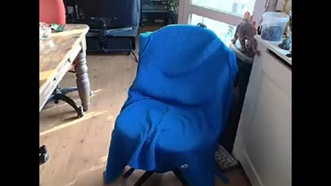 Snapshot of relaxyio chatting on 03.10.25 relaxyio online show from 03.10.25