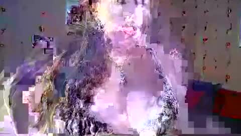 Snapshot of renelce chatting on 11.30.25 renelce online show from 11.30.25