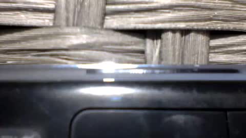 repeatergun10 online show from 02.14.26