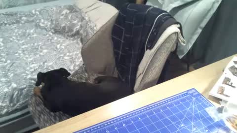 Snapshot of reunionussr chatting on 11.16.25 reunionussr online show from 11.16.25