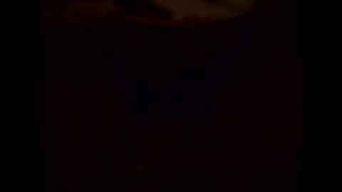 Shaved cock ready online show from 01.15.25