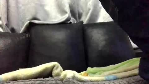 Babu online show from 02.10.26