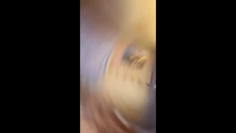 Snapshot of richtarus chatting on 02.15.26 Gunman online show from 02.15.26