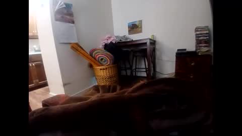 Snapshot of ricko72402285 chatting on 12.02.25 ricko72402285 online show from 12.02.25