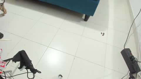 Snapshot of rihanna_hotx chatting on 11.12.25 Rihanna hotx online show from 11.12.25