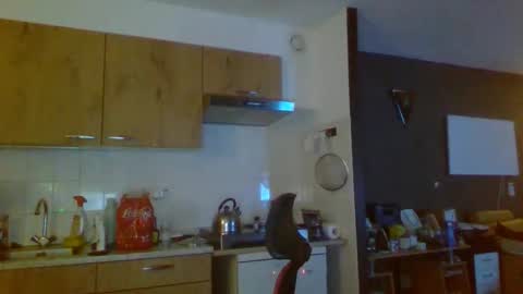 rikkerd55 online show from 01.05.26